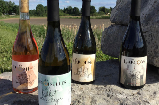 Laurentides / Domaine Pelchat